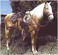 Roy Rogers' horse Trigger, The Smartest Horse In The Movies